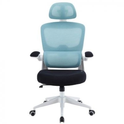 WOXTER  Ergo Chaise de Bureau Ergonomique Bleu