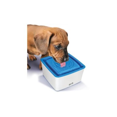ZEUS  Dog Mini Fontaine &agrave; Eau pour Petit Chien et Chiot 1,5L