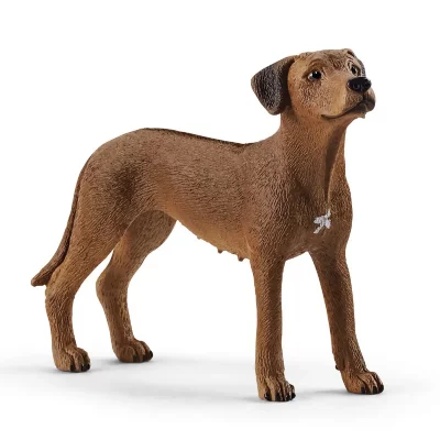 SCHLEICH 13895 chien de rhodesie a crete dorsale