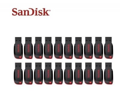  20 x SanDisk Cruzer Blade 32 Go Cl&eacute; USB 2.0 (paquet de 20 ) 