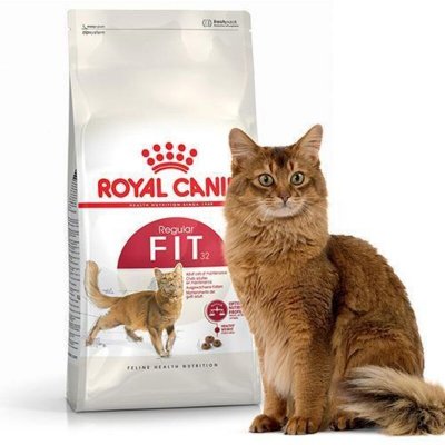 ROYAL CANIN 2kg Fit 32  Croquettes pour chat