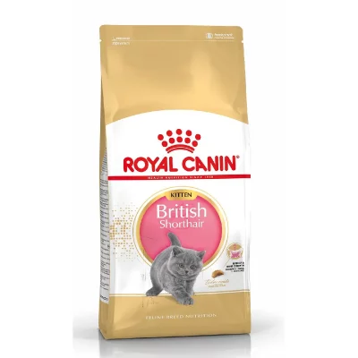 2kg Kitten British Shorthair Royal Canin Croquettes pour chat