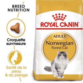 ROYAL CANIN BREED 2kg Norv&eacute;gien Royal Canin Croquettes pour chat
