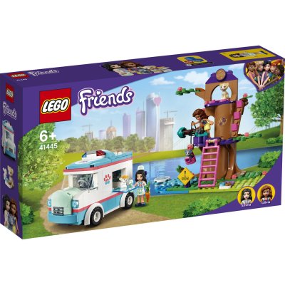 41445L'AMBULANCE DE LA CLINIQUE V&Eacute;T&Eacute;RINAIR