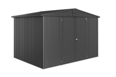 BIOHORT Abri de jardin Europa en metal - Taille 5 L316x228 cm - Gris fonce