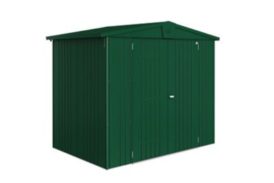 BIOHORT Abri de jardin m&eacute;tal 3,8 m&sup2; Ep. 0,53 mm Europa 3  vert