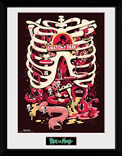 GB EYE Abystyle RICK AND MORTY - Tirage encadr&eacute; "Parc d'Anatomie" (30x40) -