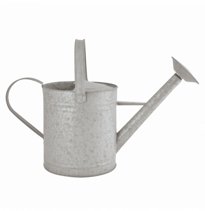 ESSCHERT DESIGN Ac-Deco Arrosoir 8,75 L - L 24 x l 55,5 x H 30,5 cm - Zinc Patin&eacute;
