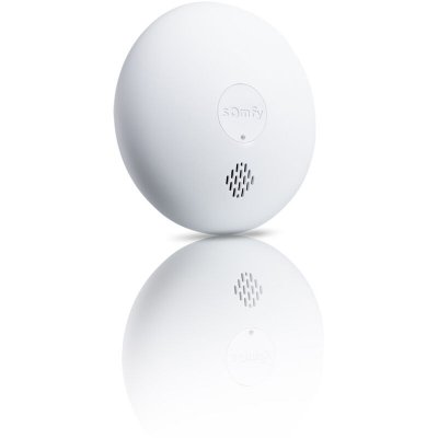 SOMFY Accessoire pour alarme  Protect Pour Home Alarm One One+