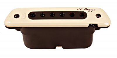 LR BAGGS Accessoires guitares  M80 Micros guitares acoustiques
