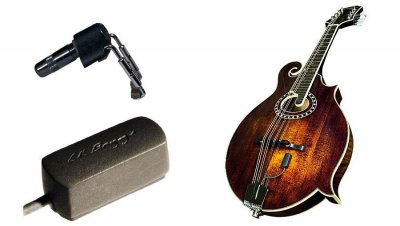 LR BAGGS Accessoires guitares  RADIUS-M Micros guitares acoustiques