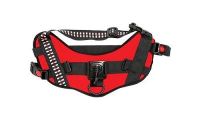 ACTIVEON  Dog Vest - Syst&egrave;me de support - harnais pour chiens