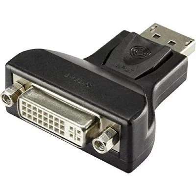 RENKFORCE Adaptateur DisplayPort-DVI 