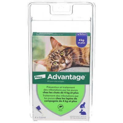 ADVANTAGE  80 pour chat et lapin