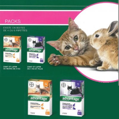 ADVANTAGE  Anti-Puces pour Chats - Moins de 4kg