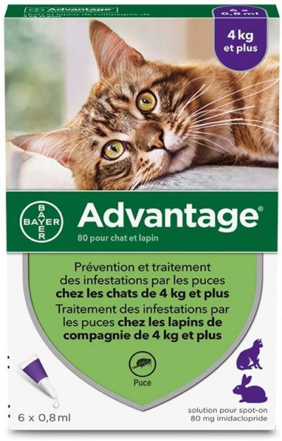 ADVANTAGE  Solution Antipuce Chat Lapin +4kg 6 pipettes