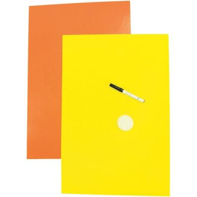 CLAIREFONTAINE Affiches fluo effa&ccedil;ables - 40x60 cm - 550g - Paquet de 10