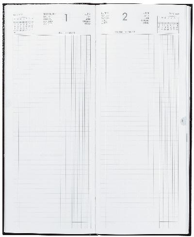 GENERIQUE Agenda long euros cents Lecas - 1 jour par page - 14 x 35 cm - noir