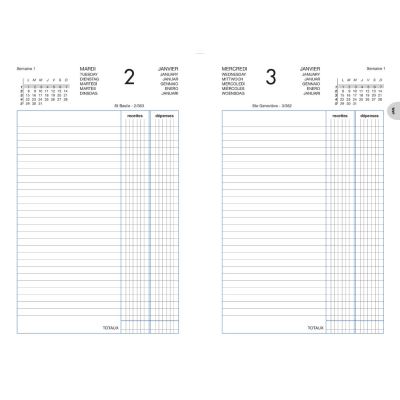 GENERIQUE Agenda recettes depenses Lecas - 1 jour par page - 14 x 22 cm - noir