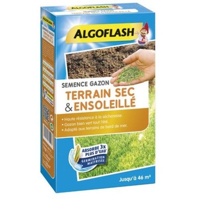 ALGOFLASH  Semence Gazon Terrain Sec & Ensoleill&eacute;, 1 kg, SEMSOL1