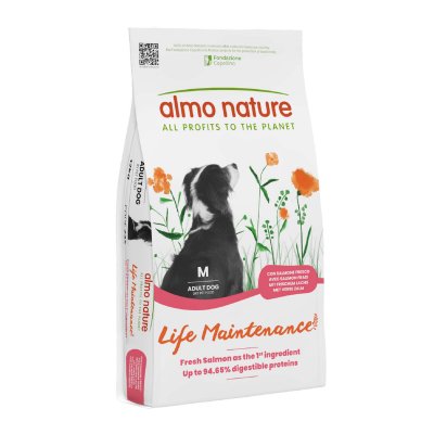 ALMO NATURE HOLISTIC Almo Nature Adult Medium, saumon & riz - lot % : 2 x 12 kg