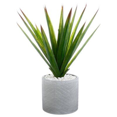 Aloe vera H. 48 cm ALINE Vert