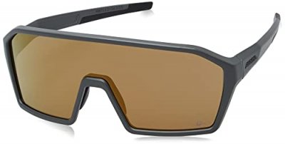 ALPINA SPORTS Alpina Ram Hm+ Mirror Sunglasses Marron Hicon Gold Mirror Cat.3