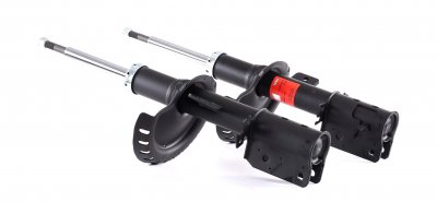 Amortisseur avant TRW JGM1297T (Jeu de 2)