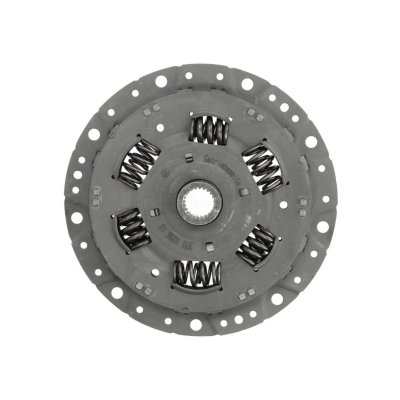 LUK Amortisseur de torsion, volant moteur  370 0096 10 (X1)