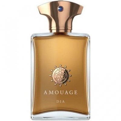 Amouage Dia Man Eau de Parfum Spray 100ml