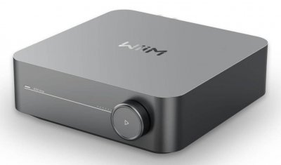 WIIM Amplificateur Hi-Fi  Amp Gris