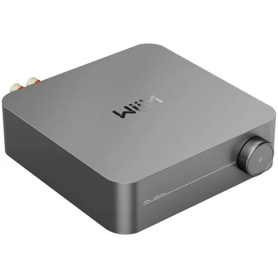 WIIM Amplificateur Hi-Fi  Amp Gris