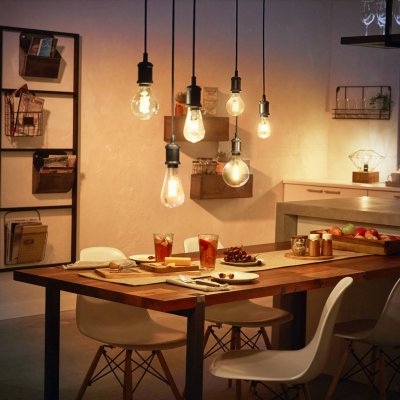 PHILIPS HUE Ampoule LED connect&eacute;e  Globe G93 E27 IP20 580lm 7,2W blanc doux
