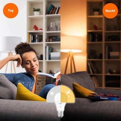 OSRAM Ampoule LED E27 10W 2&nbsp;700K capteur lumi&egrave;re du jour
