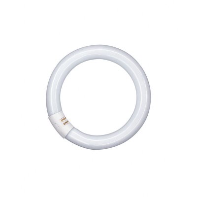 OSRAM Anneau fluorescent Lumilux T9C G10q 22W 840