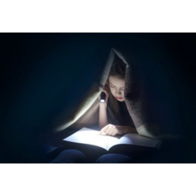 ANSMANN  Daily Use 270b Led Flashlight Argent&eacute;
