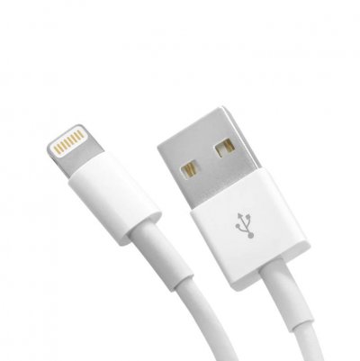 APPLE  C&acirc;ble Lightning vers USB (0,5&nbsp;m)