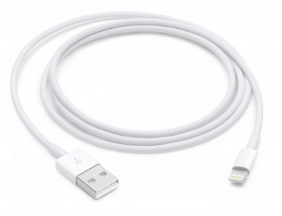 APPLE  C&acirc;ble Lightning vers USB (1 m)