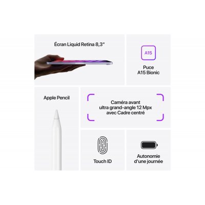 Apple iPad mini Wi-Fi 256 Go 2021 - Mauve