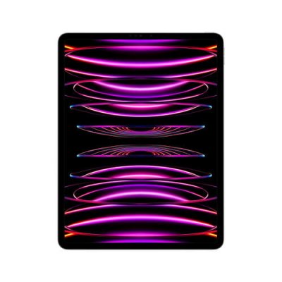 Apple iPad Pro 256 Go 32,8 cm (12.9"") Apple M 8 Go Wi-Fi 6E MNXR3FD/A