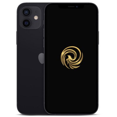 Apple iPhone 12 6,1"" 5G Double SIM 64 Go Noir Reconditionn&eacute; Grade A Reborn 