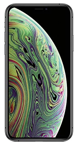 Apple iPhone XS Max 64GB gris sid&eacute;ral