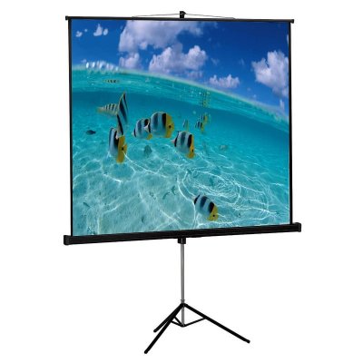 TECNO OUT Approx Appp200t 111&acute;&acute; Projection Screen With Tripod Blanc