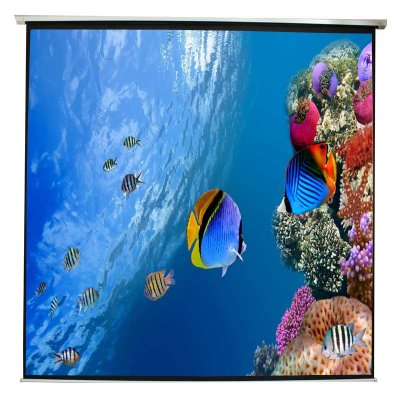 APPROX! Approx Appp240e 133&acute;&acute; Electric Projection Screen Blanc