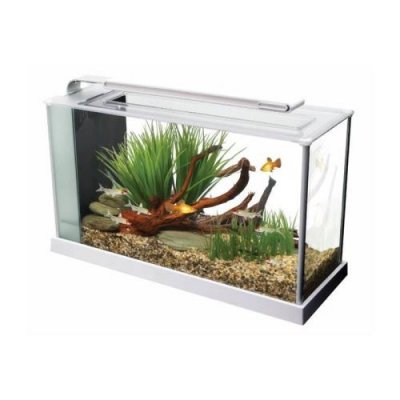 FLUVAL Aquarium Spec V 19 L blanc 43,5 x 27 x 16 cm