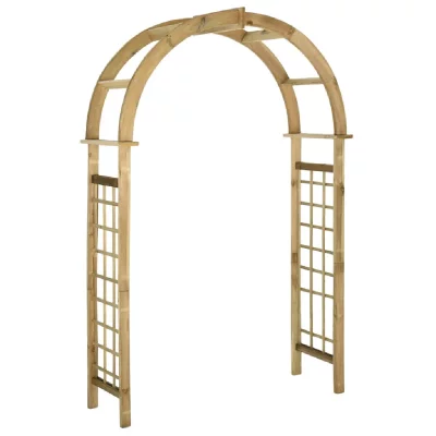 VIDAXL Arche avec treillis Bois de pin vert impr&eacute;gn&eacute;