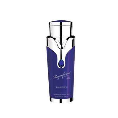 Armaf Magnificent Blue Pour Homme Eau De Parfum Pour Homme 100 Ml