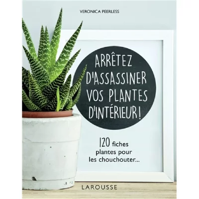 Arr&ecirc;tez d'assassiner vos plantes d'int&eacute;rieur 