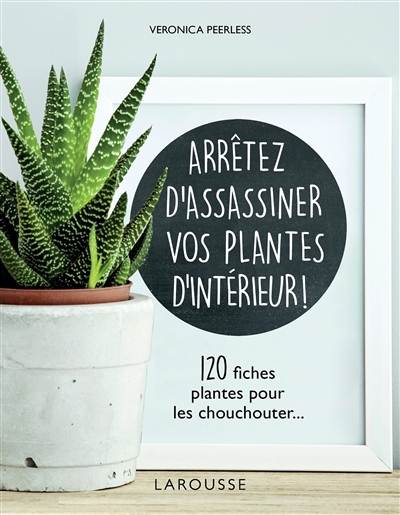 Arr&ecirc;tez d'assassiner vos plantes d'int&eacute;rieur 