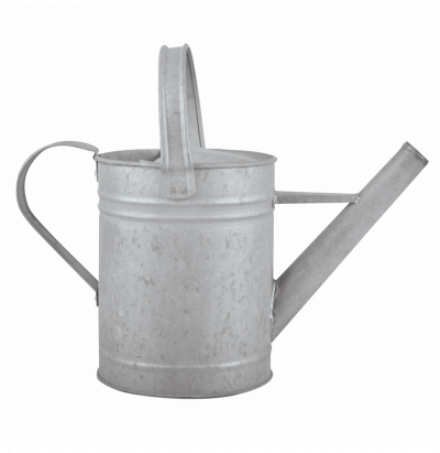 ESSCHERT DESIGN Arrosage et jardinage - Arrosoir en Zinc patin&eacute; - 1,5 L 16,5 cm Gris